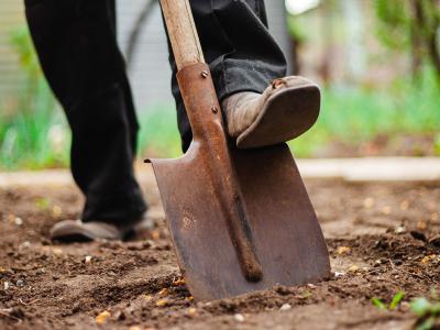 allotment spade image