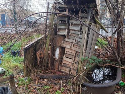 Picture of a dilapidated wooden shed before restoration