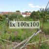 a photo of an overgrown allotment plot with lots of weeds and grasses