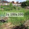 photo of an uncultivated allotment plot